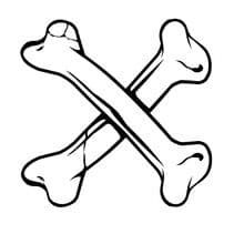 Bone