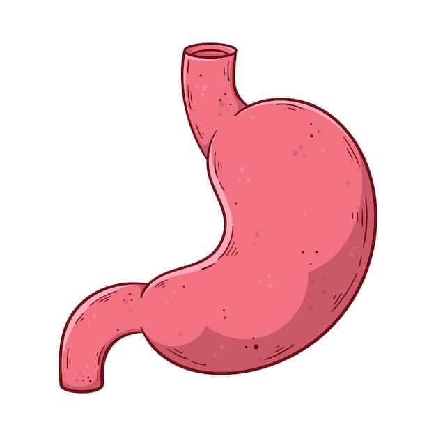 Gut Health